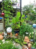 CIMG8326.webp