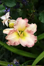DSC_2122.webp