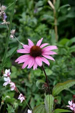 DSC_2134.webp