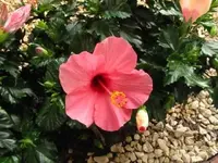 Bild 1350.webp