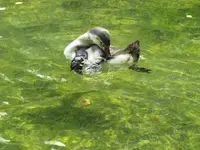 Bild 1159.webp
