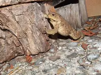 DSCF3608.webp
