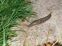 DSCF3614.webp