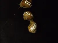 DSCF3616.webp