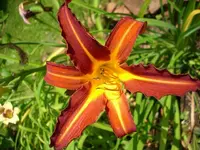 k-DSCI2833.webp