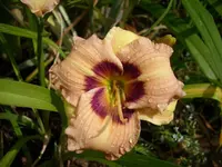 k-DSCI2847.webp