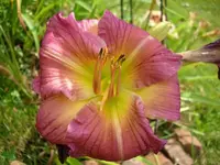 k-DSCI2848.webp