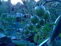 jul 040.webp