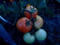jul 043.webp
