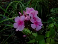jul 098.webp