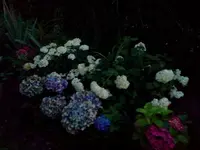 jul 116.webp
