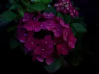 jul 118.webp