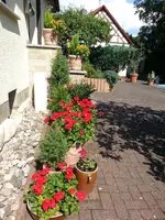 140718 heuer unsterblich.webp