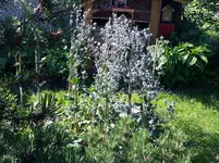 140719 Schlaraffenland.webp