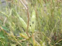 DSCN2123[1].webp