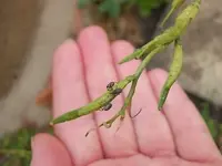 DSCN2118[1].webp