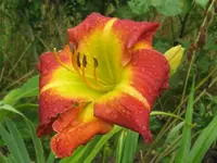 entrapment falsch_1024x768.webp