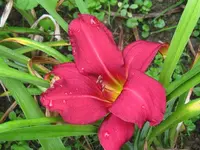 new note_1024x768.webp