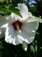 P1020256.webp