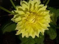 P1020258.webp