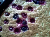 kuchen 009.webp