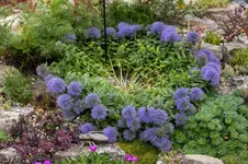 Stg 14-07-20-2962.webp
