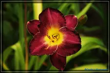 comp_Überraschung10.webp
