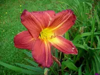 k-DSCI2856.webp