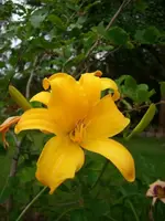 k-DSCI2857.webp