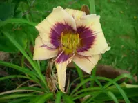 k-DSCI2862.webp