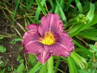 k-DSCI2864.webp