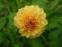 k-DSCI2868.webp