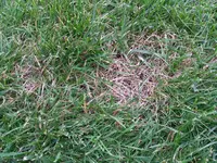 20140721_194706.webp