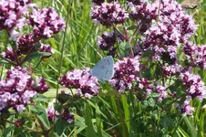 DSCF7354.webp