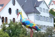 storch.webp