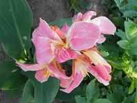 DSCN1196.webp