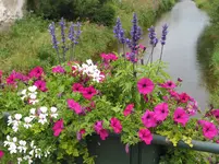 002.webp