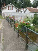 003.webp