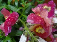123.webp