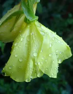 124.webp