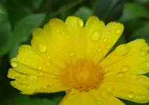126.webp