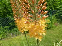 P1140250.webp