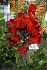 _DSC6533.webp
