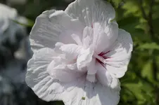 _DSC6507.webp