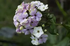 _DSC6525.webp