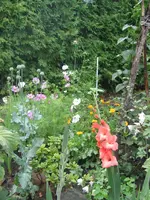 2014-07-08 004.webp