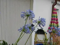 P1160610.webp