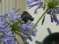 P1160611.webp