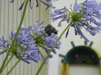 P1160612.webp