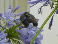 P1160615.webp